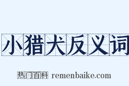 小猎犬反义词是什么意思的图片